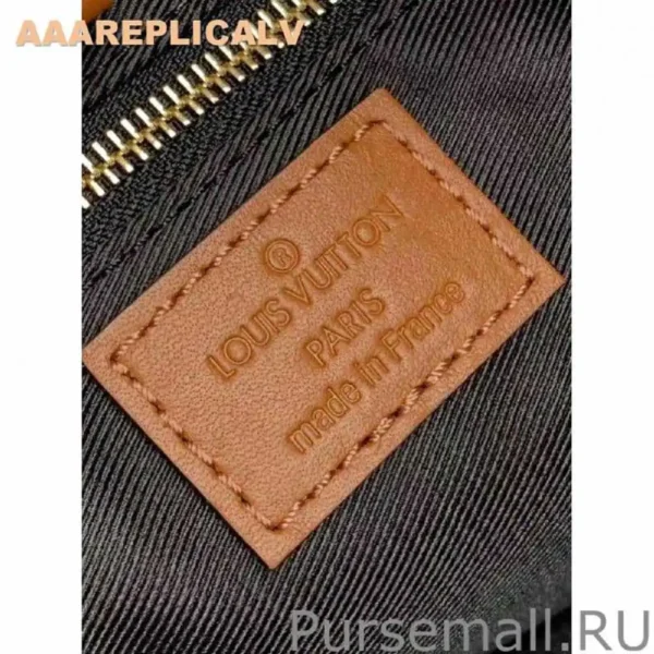 AAA Replica Louis Vuitton Hobo Dauphine PM Monogram Reverse M45194