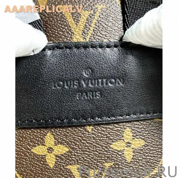 AAA Replica Louis Vuitton Josh Backpack M45349 Brown